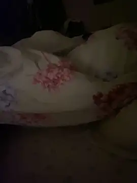 Snapshot of KE6FRAN7 chatting on 2, 4, 2026 KE6FRAN7 online show from 2, 4, 2026