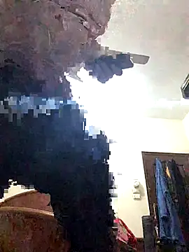 FlungBergenia online show from 21, 12, 2025