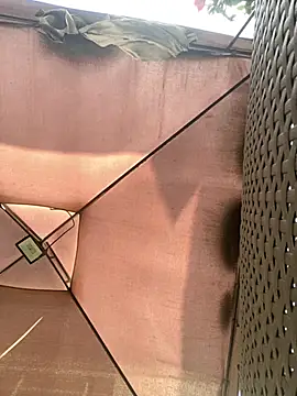 Adele Pinkk online show from 29, 11, 2025