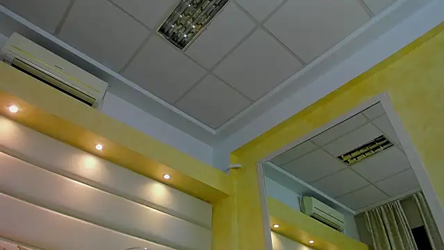 Jelly Bee online show from 18, 11, 2025