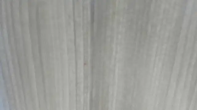 emycarver09 online show from 1, 2, 2026