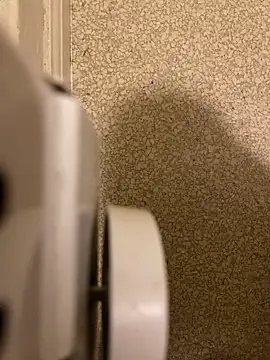 Pedro98801 online show from 18, 12, 2025