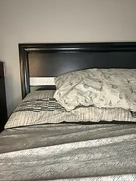 latina curvy22 online show from 29, 3, 2026