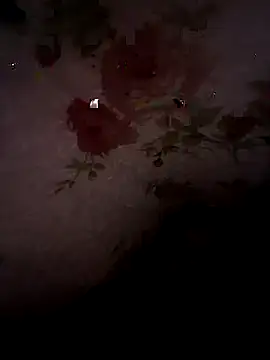 Snapshot of SummerArthur chatting on 30, 9, 2025 SummerArthur online show from 30, 9, 2025