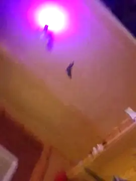 Snapshot of Dirty_D187 chatting on 10, 10, 2025 Dirty D187 online show from 10, 10, 2025