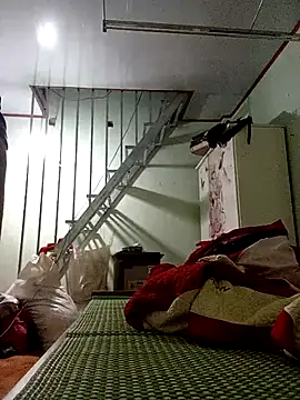 Ella3838 online show from 13, 11, 2025