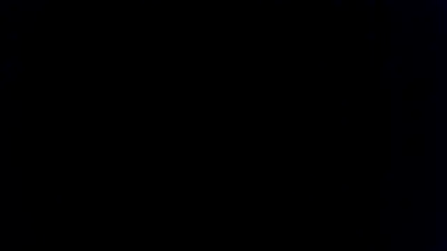 EdelHolz91 online show from 2, 4, 2026