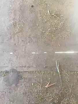 Chico031289 online show from 28, 10, 2025