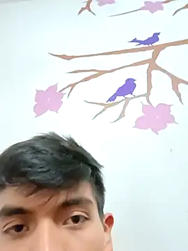 DavidVergagigante420 online show from 17, 11, 2025