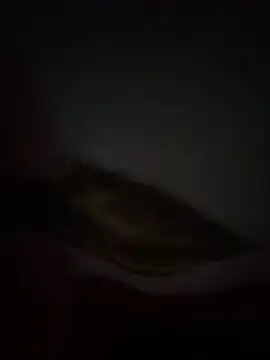 Snapshot of Flash356 chatting on 24, 2, 2026 Flash356 online show from 24, 2, 2026