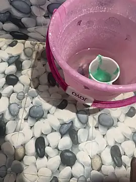 Chaitu-teluguhot online show from 4, 10, 2025