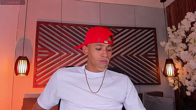 B Wild online show from 5, 11, 2025