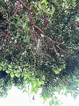 Snapshot of Boy_hot- chatting on 20, 2, 2026 Boy hot- online show from 20, 2, 2026