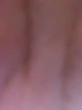 luzmelzinha online show from 4, 4, 2026