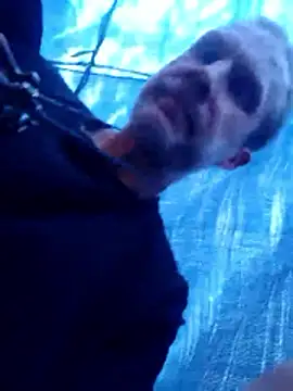 Mrdano0000 online show from 27, 3, 2026