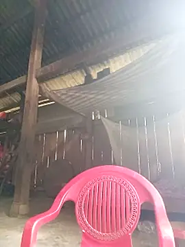 riso-00 online show from 21, 10, 2025