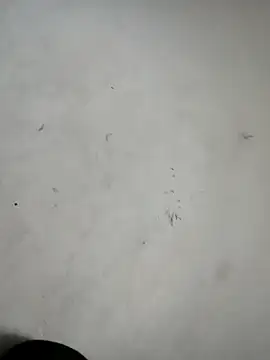 ndon63421 online show from 3, 10, 2025