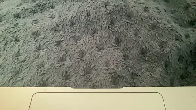 23istanblue23 online show from 2, 4, 2026