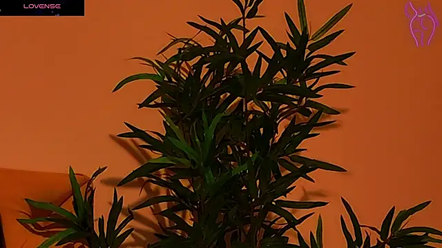 CoraVex online show from 25, 9, 2025