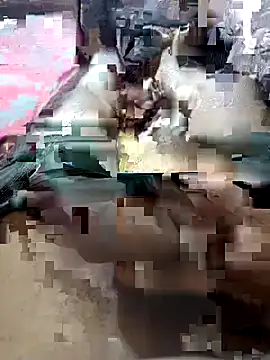 Snapshot of UnbowedAgronomy chatting on 14, 2, 2026 UnbowedAgronomy online show from 14, 2, 2026