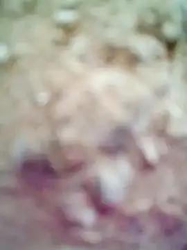 M-Kajal456 online show from 4, 11, 2025