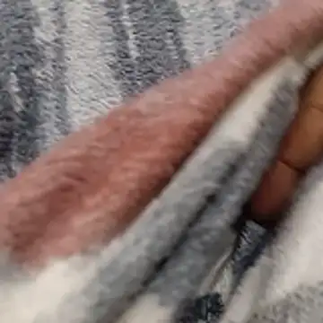 ROXX121 online show from 1, 11, 2025