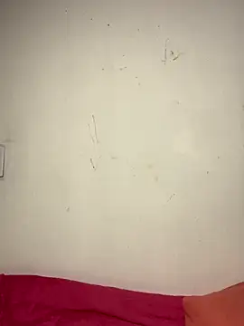 Bulma04 online show from 9, 11, 2025