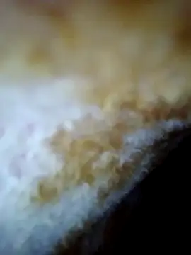 Snapshot of alone_boy802 chatting on 30, 10, 2025 alone boy802 online show from 30, 10, 2025