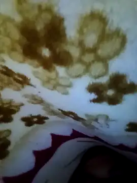 Snapshot of alone_boy802 chatting on 8, 11, 2025 alone boy802 online show from 8, 11, 2025