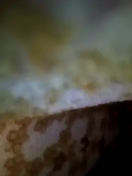 Snapshot of alone_boy802 chatting on 9, 11, 2025 alone boy802 online show from 9, 11, 2025