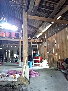 xuxulovezz online show from 2, 3, 2026