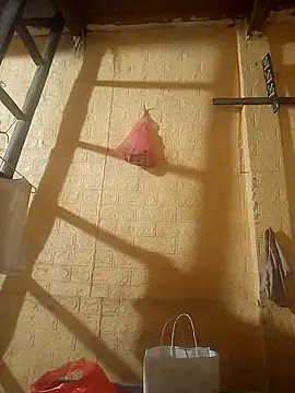 Snapshot of ruby-00 chatting on 24, 9, 2025 ruby-00 online show from 24, 9, 2025