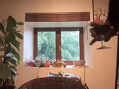 chtentation online show from 14, 2, 2026