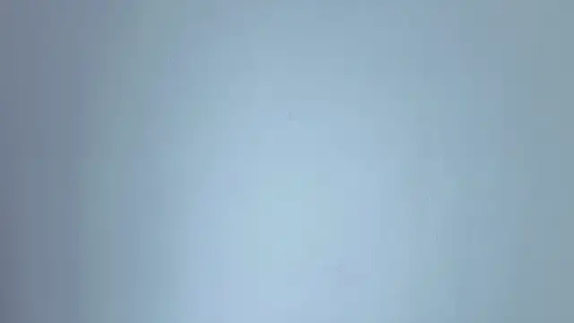 lissastone online show from 15, 11, 2025