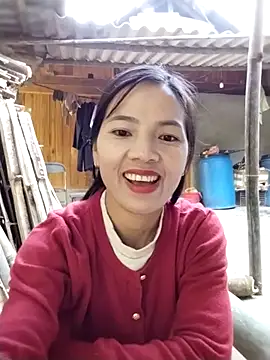 lmc-zz online show from 30, 11, 2025