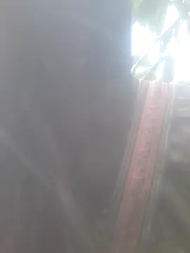 Snapshot of bree-zz chatting on 10, 11, 2025 bree-zz online show from 10, 11, 2025