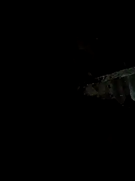 Snapshot of bree-zz chatting on 11, 1, 2026 bree-zz online show from 11, 1, 2026