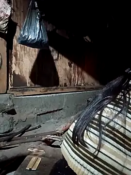 Snapshot of bree-zz chatting on 12, 3, 2026 bree-zz online show from 12, 3, 2026