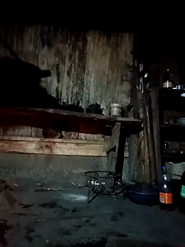 Snapshot of bree-zz chatting on 7, 4, 2026 bree-zz online show from 7, 4, 2026