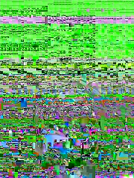 itsthecatchh online show from 8, 11, 2025