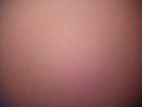 Arab-xxxx online show from 20, 3, 2026