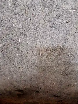 nagepalli online show from 14, 11, 2025