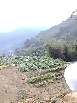 Bum 538 online show from 23, 11, 2025