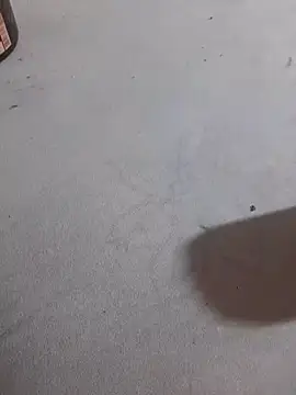 Snapshot of JuDilva8451 chatting on 21, 11, 2025 JuDilva8451 online show from 21, 11, 2025