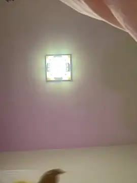 Snapshot of taotaobo chatting on 15, 12, 2025 taotaobo online show from 15, 12, 2025