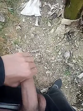 Sikici0734 online show from 11, 1, 2026