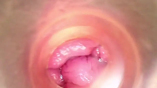 shannon kinne  online show from 29, 3, 2026