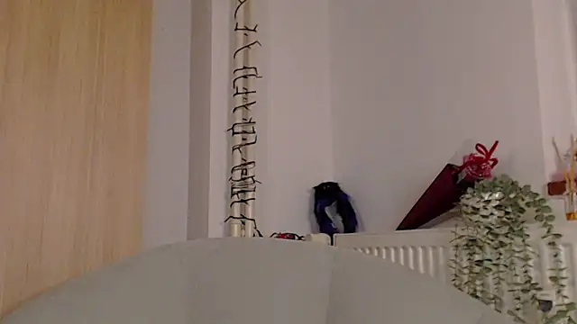 adacgrey online show from 20, 2, 2026