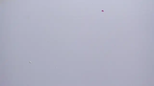 Malory  Jones online show from 16, 1, 2026