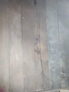 sumaybae online show from 10, 11, 2025